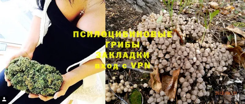 блэк спрут рабочий сайт  Мензелинск  Галлюциногенные грибы Cubensis 